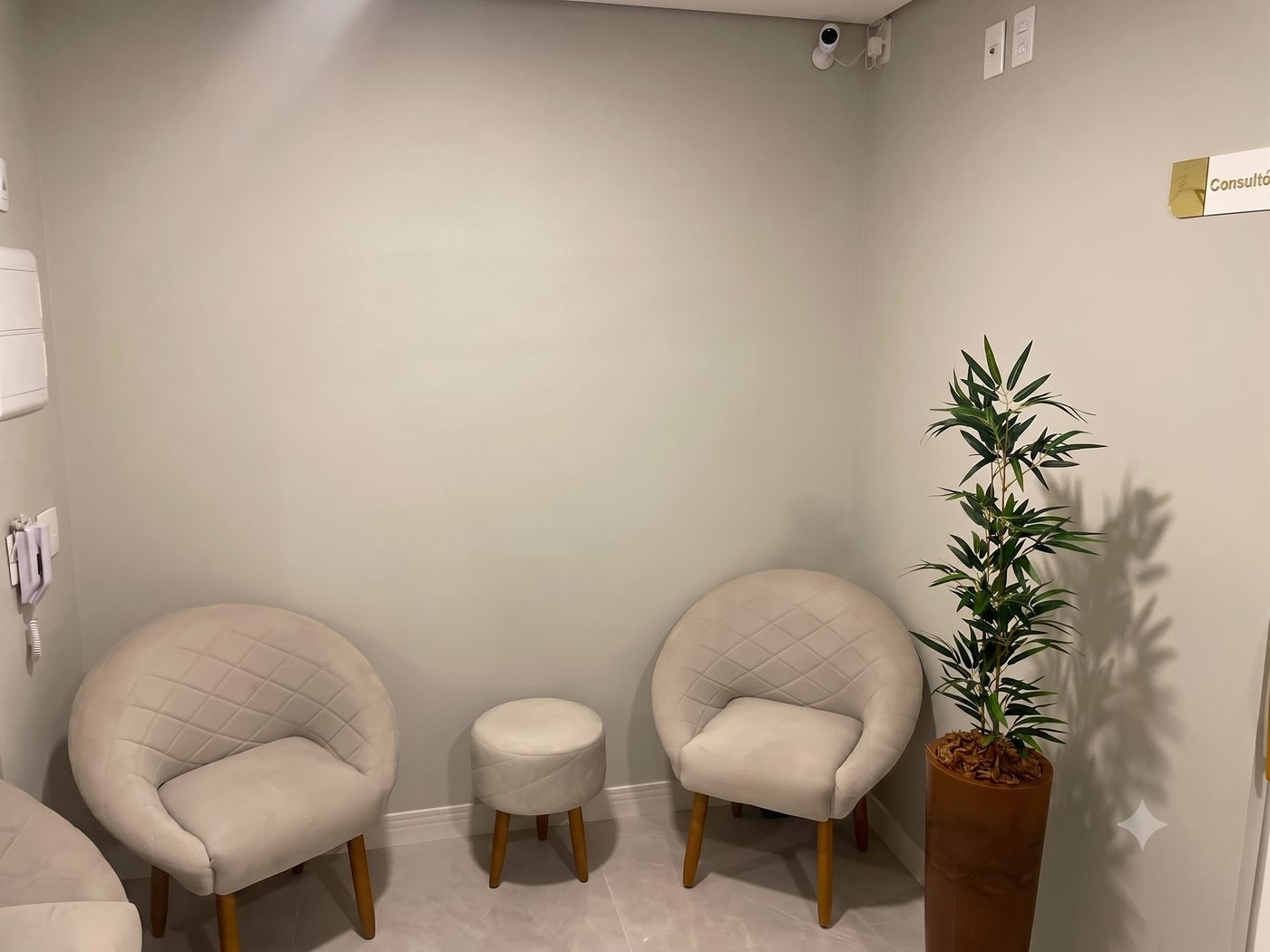 Recepção com poltrona e planta